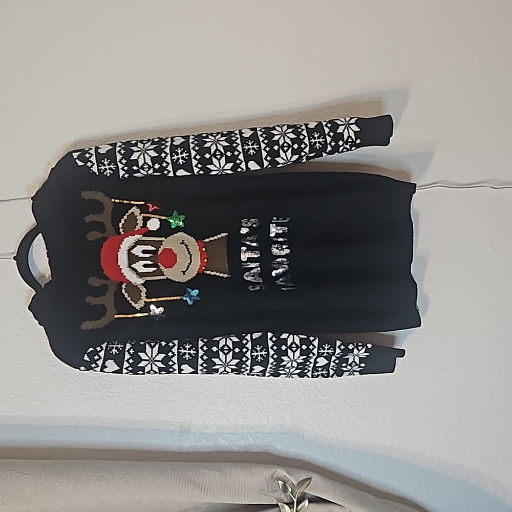 Santa's Favorite sweater